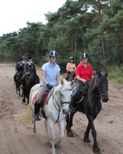 pagina 2 van 8 (Inter-)nationale promotie kerstevenementen Midden-Limburg Op de speciale kerst-event pagina promoot VVV Midden-Limburg de evenementen die in de kerstperiode plaatsvinden.