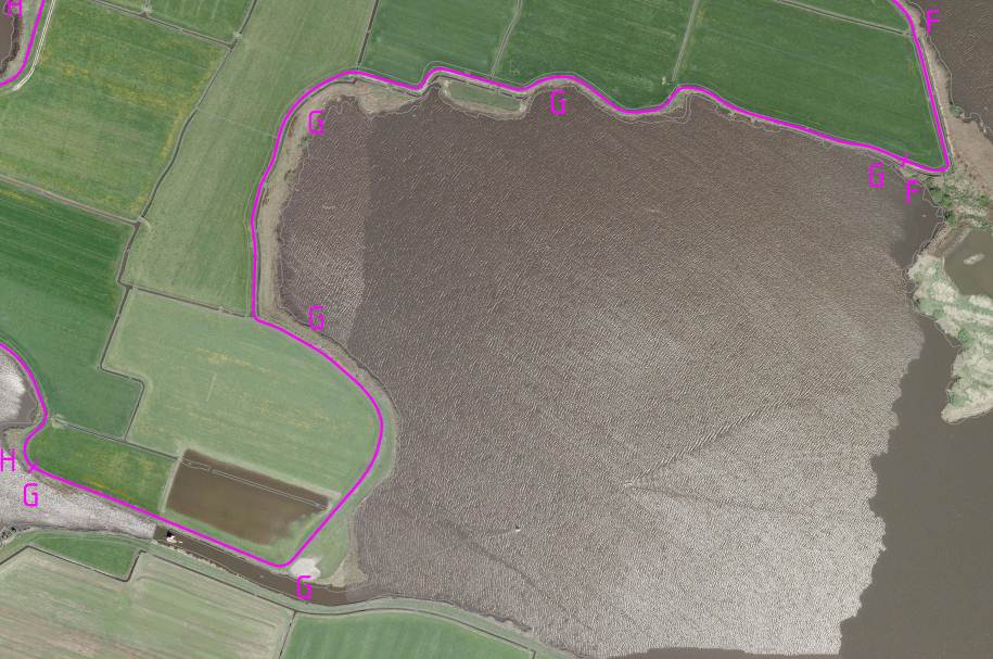 3.6.7. Bestaande situatie Cluster 7, noordwestzijde Ringwiel en noordzijde Ategraft km 5,875 t/m km 7,250 Traject G - De kade voldoet niet aan het afkeurprofiel.