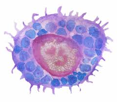 Nieuwe ontwikkelingen in mastocytose.