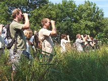 7 Succesvolle excursie naar de Oostelijke witsnuitlibel (LEUCALBI) in Friesland Zondag 10 juli werd door Peter de Boer / It Fryske Gea een excursie verzorgd naar de vermoedelijke voortplantingsplaats