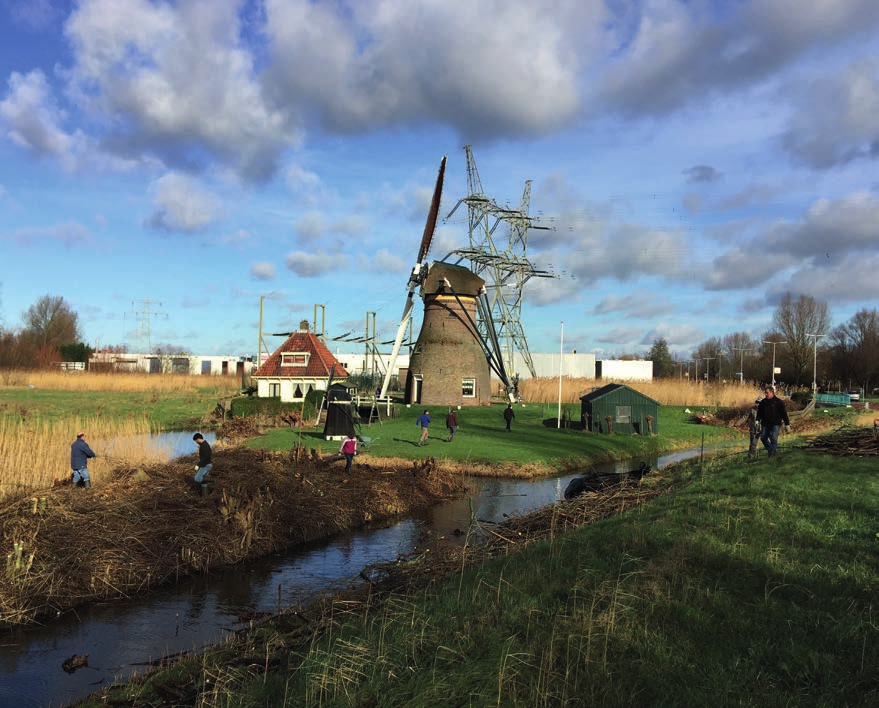 Foto: Debby Gerritsen Vrijwilligers aan de slag bij de Stadsmolen in Leiden Ook zijn er vrijwilligers die bouwplannen in de buurt van molens in de gaten houden.