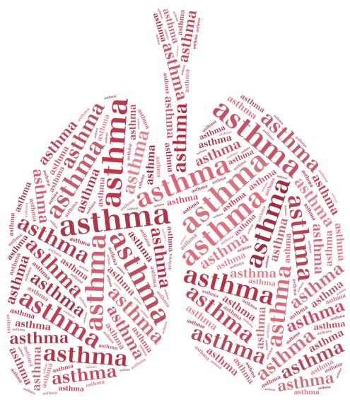 Take home; Astma Is de diagnose goed gesteld?