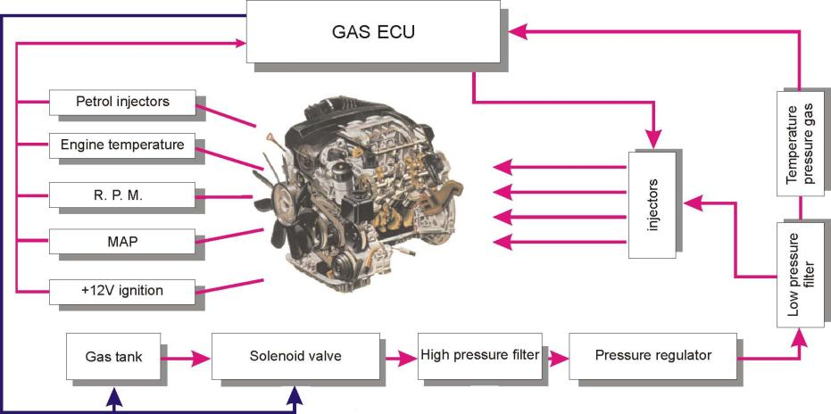 1 SYSTEEM BESCHRIJVING: 1.1 Inleiding Het Eurogas Omegas systeem behoort tot de laatste generatie LPG-installaties die momenteel op de markt verkrijgbaar zijn.