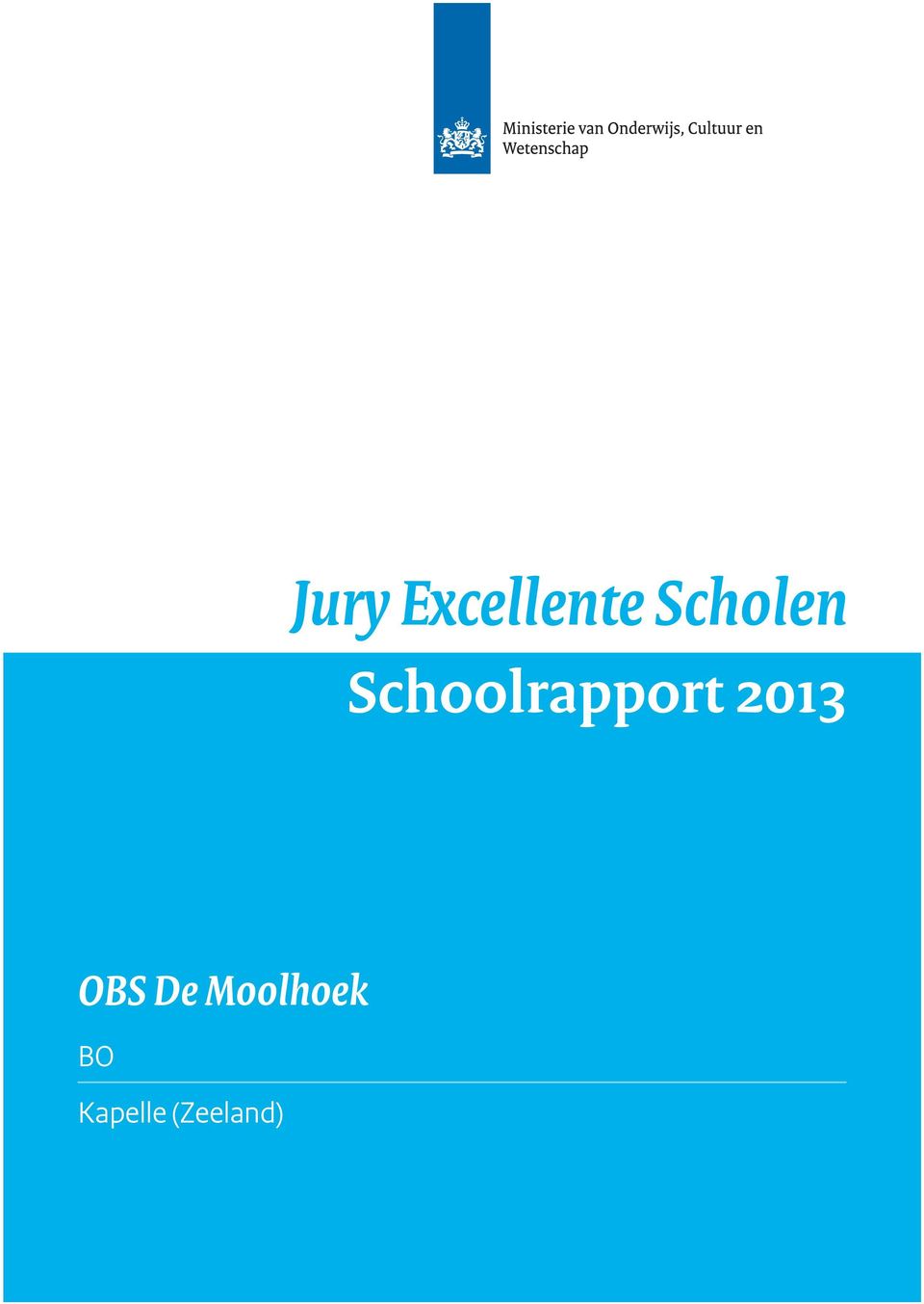 Schoolrapport 2013