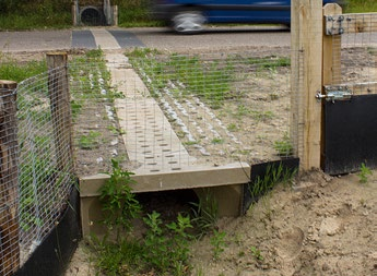 Over ecologie, ecopassages en kwel Natuurlijk is het een heel bijzonder gebied Van landbouwgrond naar natuurgebied. Hoe doe je dat? En vooral ook waarom? Wat levert het op?