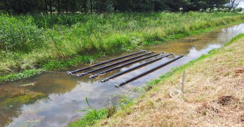 Waterschap Rivierenland heeft zich als doel gesteld in samenwerking met agrariërs de waterkwaliteit in sloten te verbeteren en de biodiversiteit te vergroten.