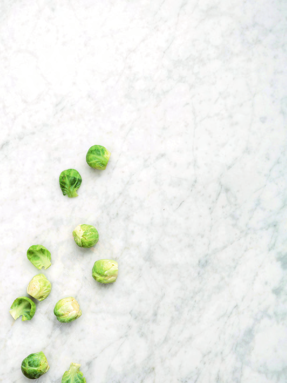 34 voorgerecht 6 PERSONEN elke dag GEMIDDELD vega 1 flinke WITTE UI, gesnipperd flinke scheut OLIJFOLIE 1 kg SPRUITJES, schoongemaakt 0,5 tl gemalen KORIANDERZAAD (ketoembar) 1 l GROENTE- of