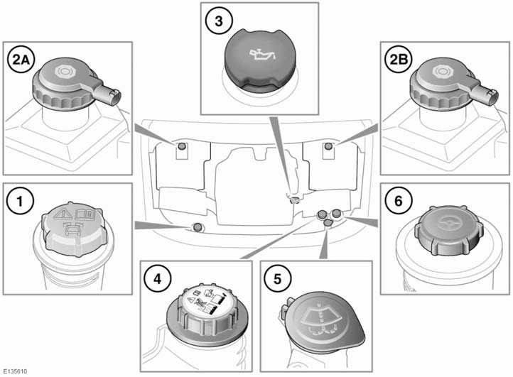 Onderhoud V8-benzinemotoren 1. Dop van het vloeistofreservoir van het dynamic response-systeem 2. Dop van het remvloeistofreservoir: A. Voertuigen met het stuur rechts B.