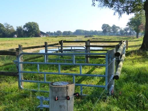 92 Rechts van ons de Doorbraak; we wandelen stukje verder en zien rechts van ons een bijzondere sculptuur, deze sculptuur is ontworpen door Rinus Roelofs en heeft als titel "Doorbraak 6" gekregen.