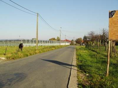 4.17 Knelpunt 17: Wommelgemsesteenweg Naam van het knelpunt: Wommelgemsesteenweg van de locatie Het knelpunt betreft een weg of straat.