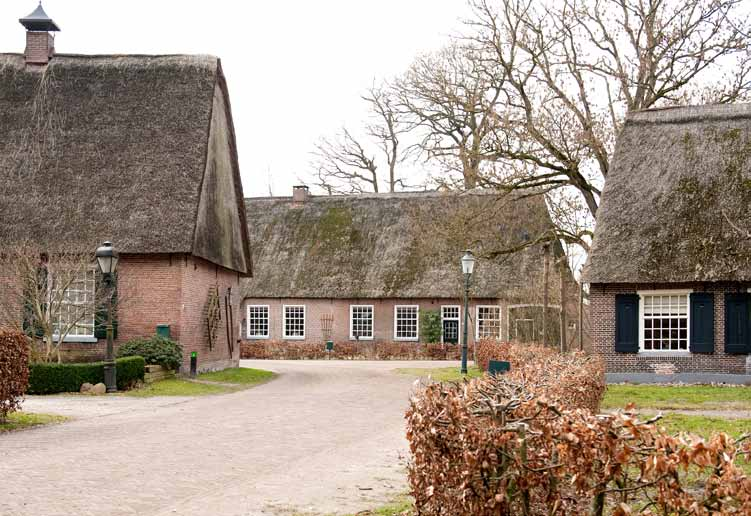 6. Leefbare wijken en dorpen Niet alleen de woning draagt bij aan thuis voelen.