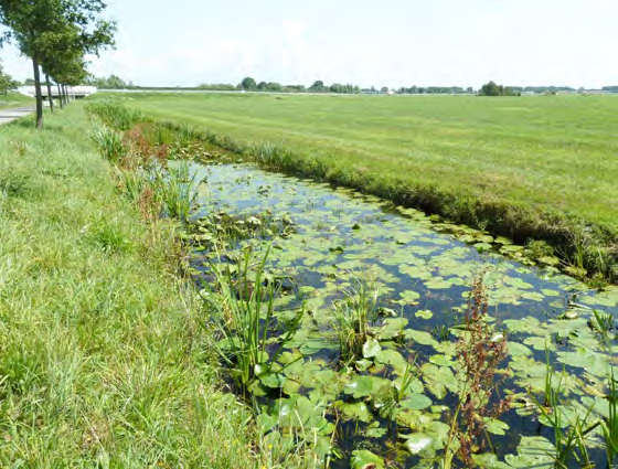 Monitoren waterkwaliteit Monstername