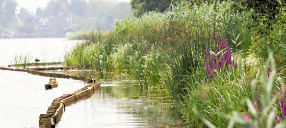 Het hoogheemraadschap van Rijnland is verantwoordelijk voor de kwaliteit van het water in plassen, meren, kanalen en sloten.