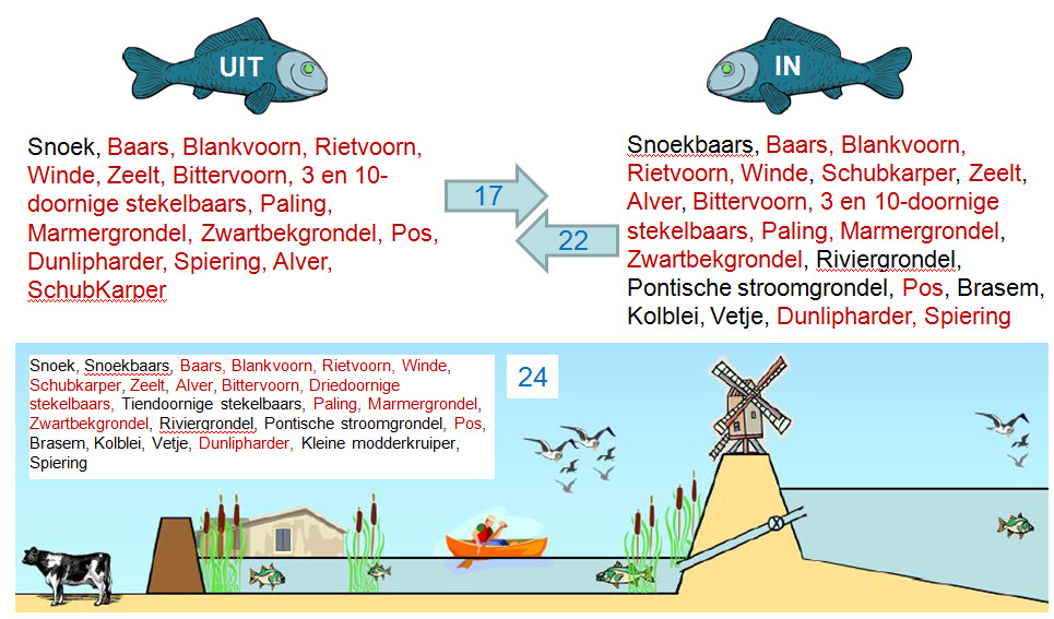 polder in te kunnen via inlaat van IJsselmeerwater en 17 soorten terug te kunnen naar het IJsselmeer met de buisvijzel.