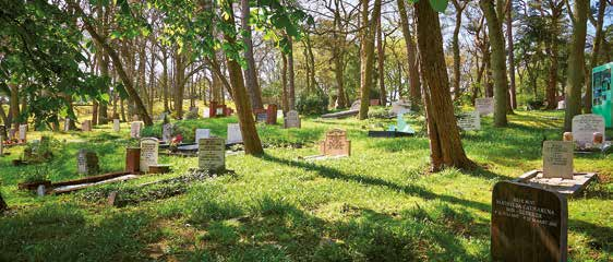 BEGRAAFPLAATS & CREMATORIUM WESTERVELD Mij uitvaart op Westerveld Weseformulier Westerveld Begraafplaats & Crematorium Westerveld biedt u hierbij geheel vrijblijved ee Weseformulier aa.