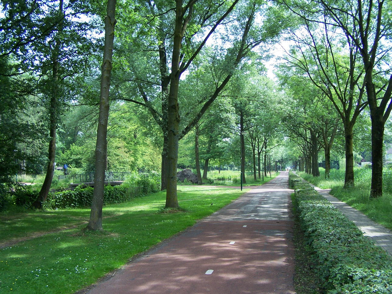 4.3 Woonstraten Sfeer De woonstraten vormen de verbindingen tussen de woningen en de rijweg Castor. Het zijn rustige straten, waarlangs geparkeerd kan worden. De maximale snelheid is 30km/h.