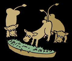 Maak al het voerwerk makkelijk Managementvraagstuk Tweerijig of drierijig? In een traditionele drierijige stal heeft niet iedere koe een vreetplaats.