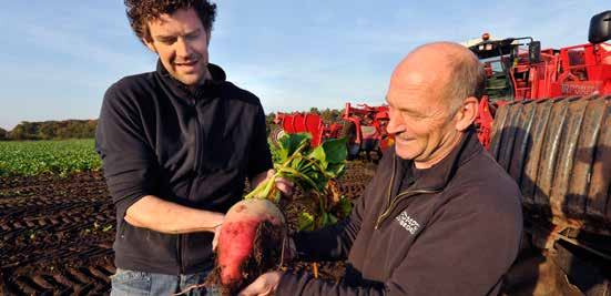 Voederbieten Super VEM-leverancier De belangstelling voor voederbieten in het veehouderijbouwplan neemt fors toe.