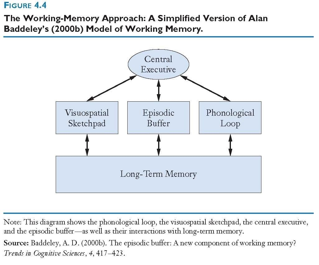 Werkgeheugen Model van Baddeley Het werkgeheugen is een systeem dat bestaat uit verschillende delen en tijdelijk informatie vasthoudt, organiseert en manipuleert terwijl we