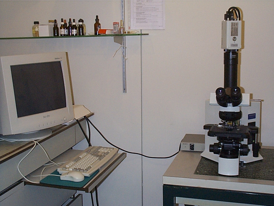 Materiaal : - continuwerkende reactor met actief slib op laboschaal - microscopen (Zeiss,