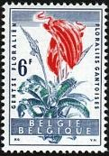 x 1121 - Dag van de Postzegel. Uitgiftedatum: 20/03/1960 Drukprocedure: Diepdruk folder Nr. gn/60 vnr.