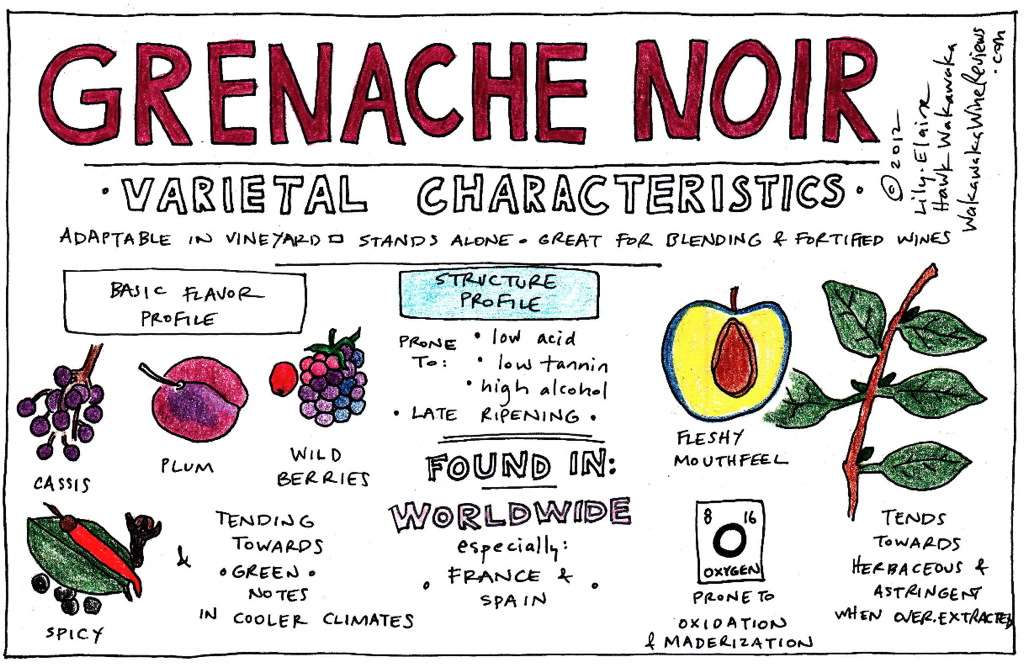 GRENACHE Kenmerken van de wijn Dunne schil, matige kleur Gevoelig voor kleurverlies boven de 45hl/ha Gevoelig voor oxidatie Hoog alcoholgehalte Vrij lage zuurgraad Matig tanninegehalte Soepel en