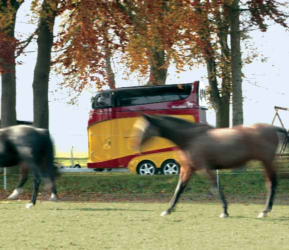 Voordelen die overtuigen 1 Alle 2-paards trailers zijn standaard met een zwenkbaar tussenschot uitgevoerd.