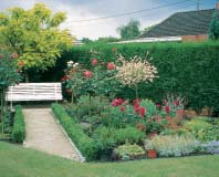Goed geschikt Een tuin stel je samen uit verschillende elementen: een heestermassief, Je let op kleurencombinaties en vergrond voor een groep vaste planten.