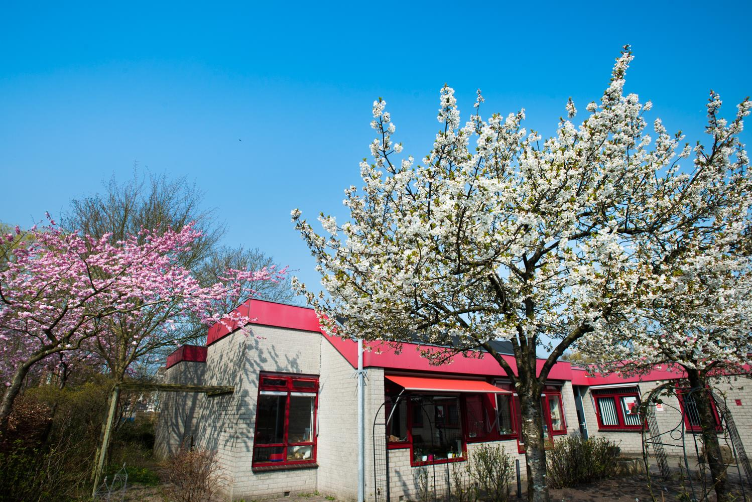 Welkom op Montessorischool De Gouden Kraal Uw kind wordt veel uren per week aan onze zorg toevertrouwd.