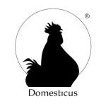 Domesticus (Herentals) Domesticus Tripel Blonde tripel 8% vol.