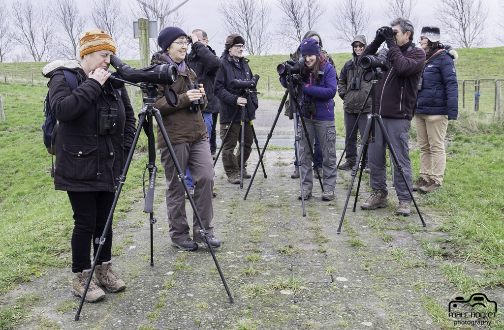 Foto Marc In de Blikken zaten er 2 Geoorde Futen, Goudplevieren, een Witgatje, wat Tureluurtjes en Watersnippen. Heel, heel in de verte zat een Slechtvalk op een paaltje.