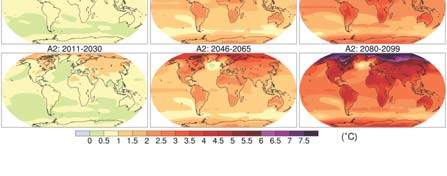 Fossiele pollen in ACEX boorkern Fossiele bomen uit het Eoceen in noordelijke punt van Canada Pollen van palmbomen Temperatuur op de Noordpool altijd >5 C Napartulik (plaats van bomen) verzicht