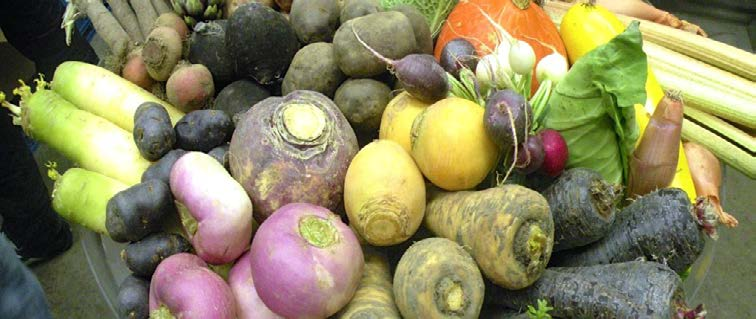 AGF NL = de groenten- en de aardappelkwekers