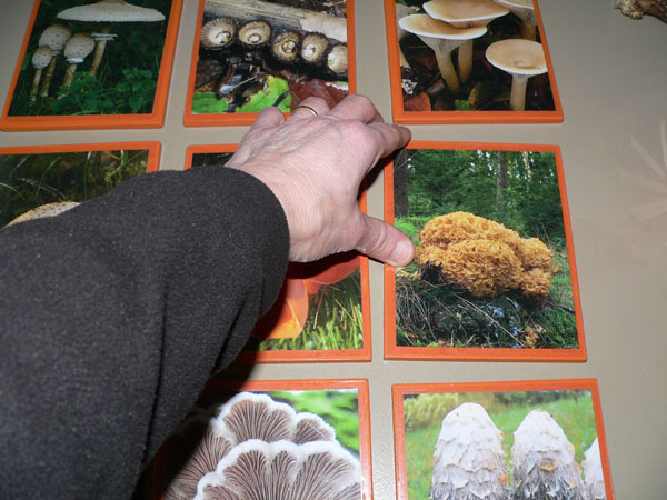 Laat één van de kinderen een voorwerp kiezen, en daarna de foto van de paddenstoel die erop lijkt. Vertel zelf hoe de paddenstoel heet.