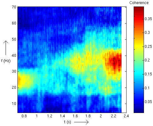 Mean coherence between MEG (M1)