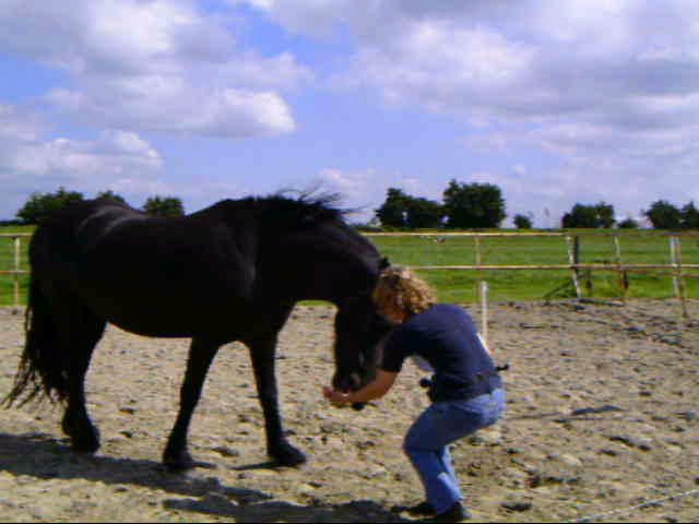 Basic 3 Hoofd laag Zijn