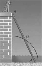 G&R vwo D deel C von Schwartzenberg / 8d ac bc ac bc x = ac bc ( a b)( a b) a b ac bc x = ac bc ( a b)( a b) a b ( ac bc) x = ac bc ( a b)( a b) a b ac bc ( a b) ( a b) x = = a b a b ( ac bc) x a b