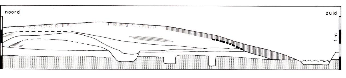 Afb. 1.2 Warffum-West. Doorsnede restant Oude dijk, blikrichting zuid-noord. Het oorspronkelijke maaiveldniveau en basis van de dijk is met een rode lijn aangegeven.