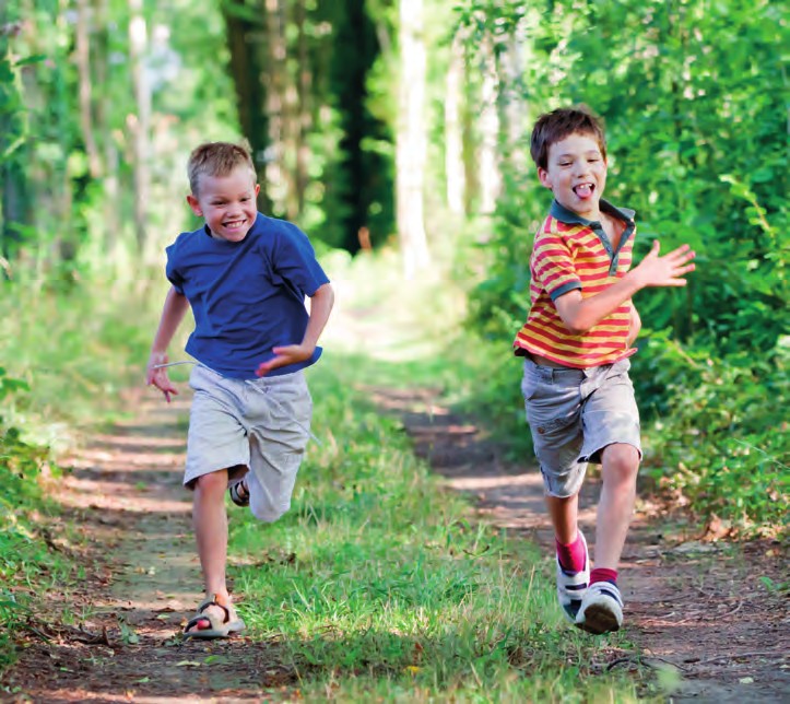 Kinderworkshops Kindercentrum ZieZoo