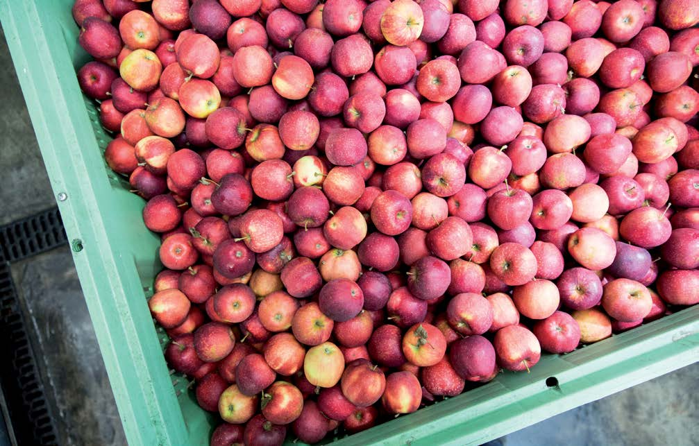 Resultaten In totaal zijn op de 30 bodem-, water- en appelmonsters 197 residuen van 54 verschillende soorten bestrijdingsmiddelen aangetroffen.