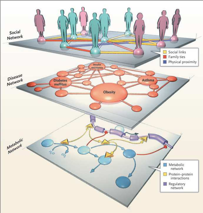 Globale Genoomwijde netwerk analyse = Systeembiologie Relevante discussiepunten binnen VDI-1 H1.