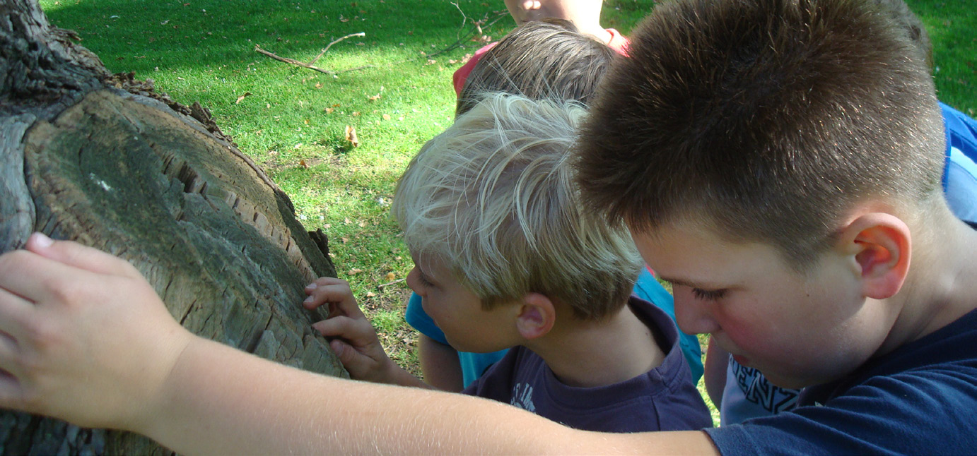 Tot slot Natuur- en milieueducatie is op een bijzonder wijze vorm gegeven door goede samenwerking tussen de basisscholen in Vught.