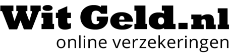 9.4.4 Als u de schade terugbetaalt U heeft het recht een schade terug te betalen. Doet u dit binnen twaalf maanden nadat verzekeraar u geïnformeerd heeft over de uitgekeerde schade?