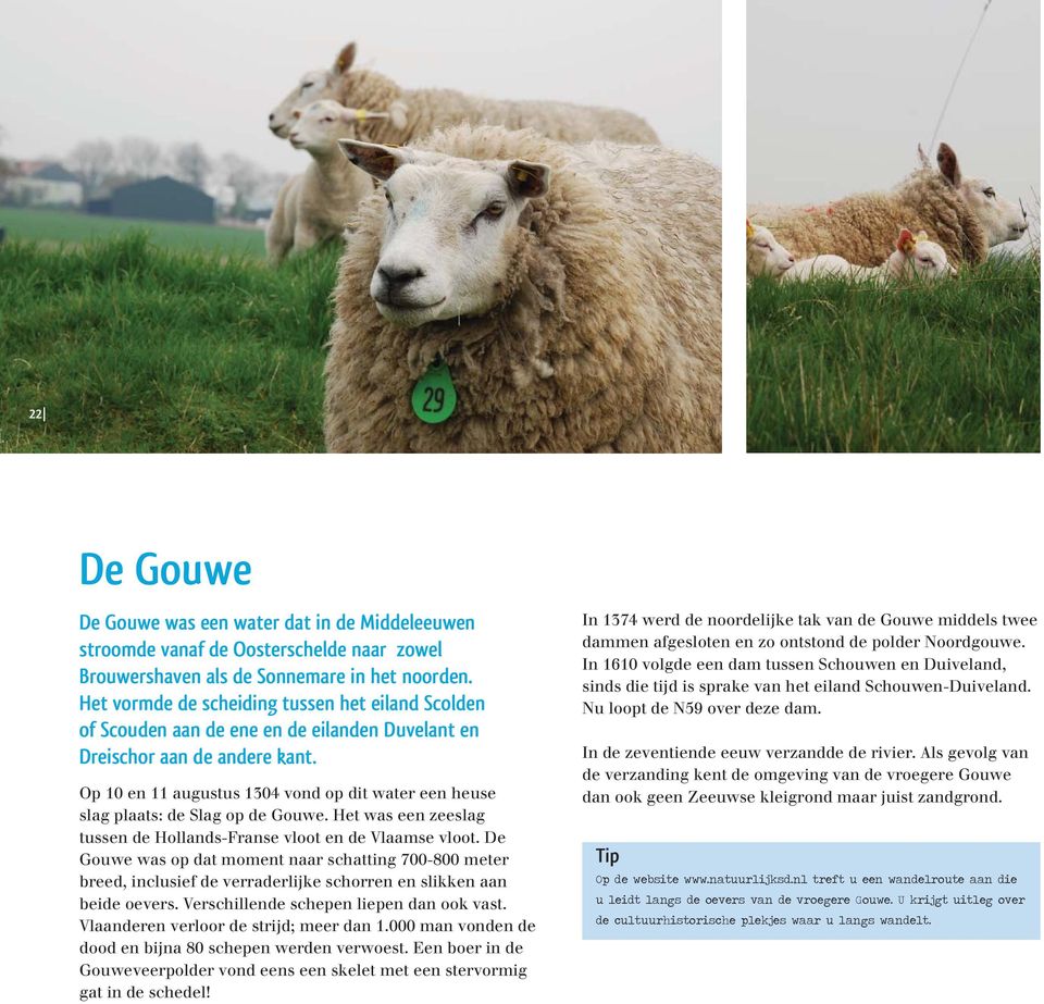 Op 10 en 11 augustus 1304 vond op dit water een heuse slag plaats: de Slag op de Gouwe. Het was een zeeslag tussen de Hollands-Franse vloot en de Vlaamse vloot.