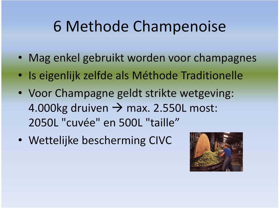 Voor Champagne geldt strikte wetgeving: 4.000kg druiven max.