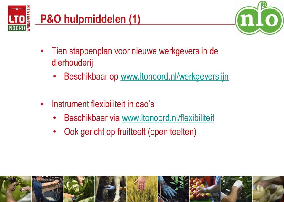 nl/werkgeverslijn Instrument flexibiliteit in cao s