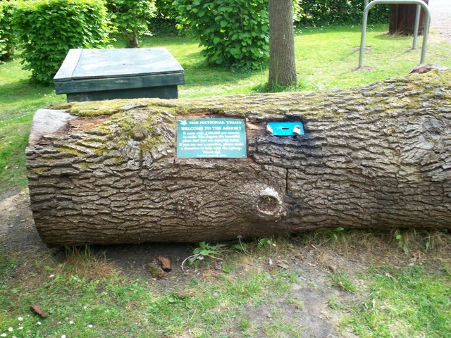 9 BESTAANDE VOORBEELDEN IN DE NATUUR Deze oude boomstam met het verzoek te doneren is te vinden in Engeland, in het gebied The Argory van National Trust met als tekst: "It costs 250,000