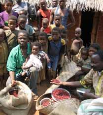 Landbouw en voedselzekerheid NGO Projectenportefeuille 2016 Ondersteuning boerenassociaties bij koffie- en cacaoteelt in Congo Verbeteren levensomstandigheden bevolking door duurzame landbouw 12 Voor
