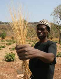 Landbouw en voedselzekerheid NGO Projectenportefeuille 2016 Een antwoord op de armoede in Benin: Stimuleer de graanproductie en ondernemerschap!