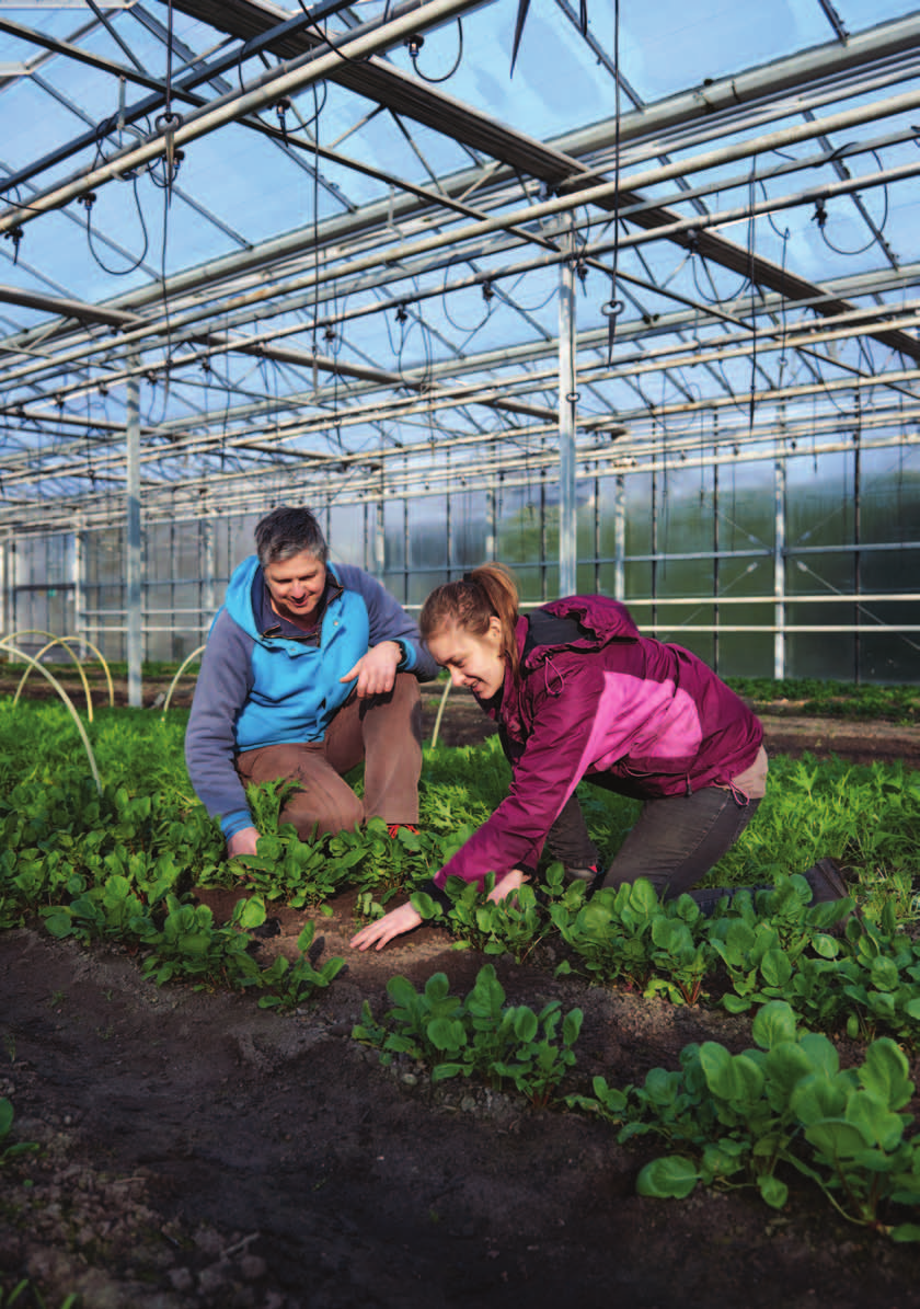 Colofon Uitgave: Redactie: Vormgeving: Foto omslag: Drukwerk: UWV en Samenwerking Beroepsonderwijs Bedrijfsleven (SBB), november 25 UWV en SBB SBB The Oddshop/SBB Bestenzet, Zoetermeer